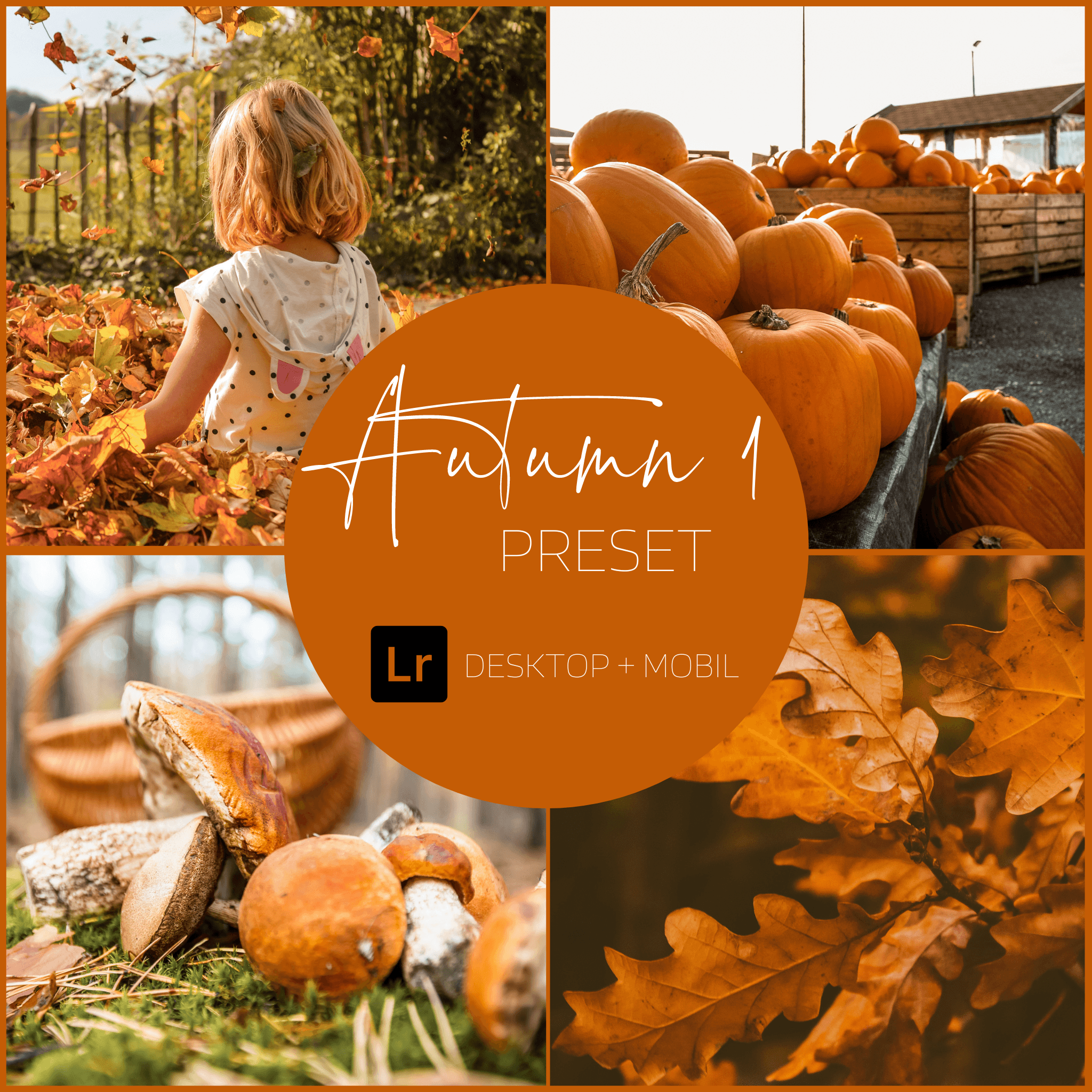 AUTUMN 1 | One Lightroom Preset - palijalovedesign